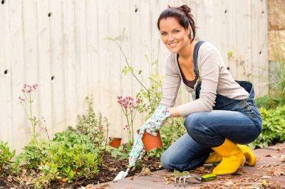 The Perfect Gardening Gift for the Gardener in Your Life - gardenadvice.co.uk