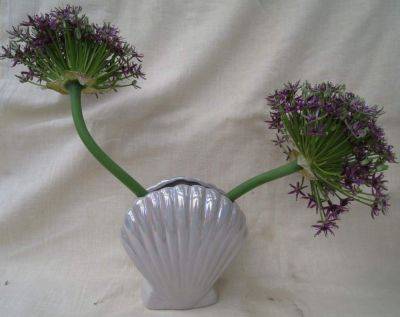 In a Vase on Monday: On Its Way - ramblinginthegarden.wordpress.com - India