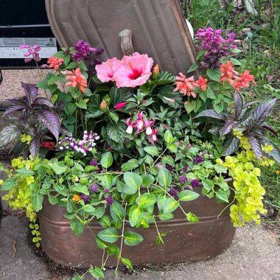 Creating Container Garden Art - finegardening.com - state Wisconsin