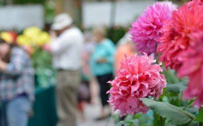 Top Trends Seen at RHS Chelsea 2024 - jparkers.co.uk