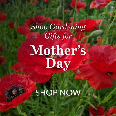 Gardening Gift Ideas for Mother’s Day 2024 - finegardening.com