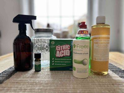 I Tried 3 DIY Bathroom Cleaners and This One Won Out - thespruce.com