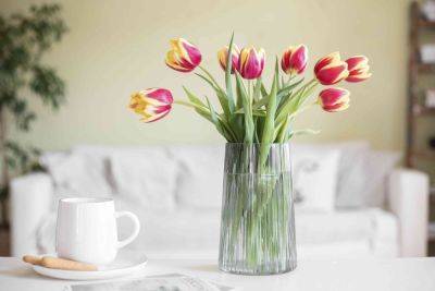 5 Tricks You Should Try to Keep Tulips from Wilting - thespruce.com
