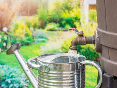 Brian Minter: It's critical to install supplemental water supply for gardens - theprovince.com