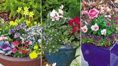 Cool-Weather Plantings for Spring Containers - gardengatemagazine.com - Iran