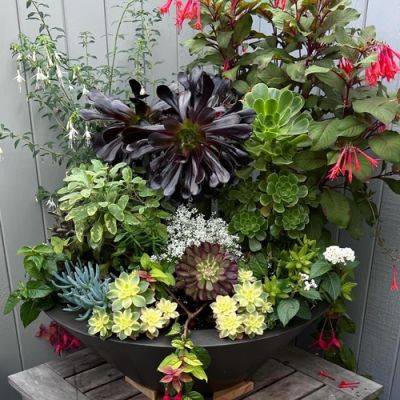 Container Before and After - finegardening.com - Britain