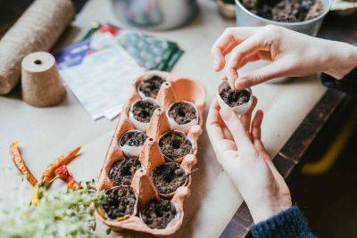 4 Gardening "Hacks" Pros Actually Want You to Avoid This Season - thespruce.com