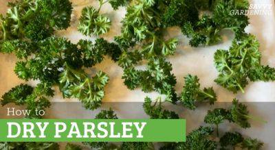 How to Dry Parsley Using 3 Methods - savvygardening.com