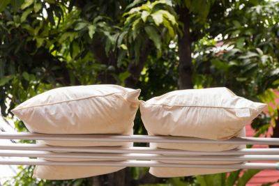 Can You Truly Clean Your Pillows with Sunlight? - bhg.com - state Oregon