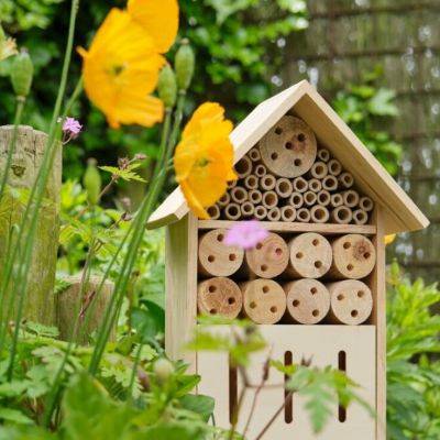 Building your own bug hotel - gardencentreguide.co.uk