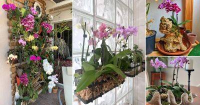 19 Orchid Arrangement Ideas - balconygardenweb.com
