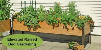 Elevated Raised Bed Gardening: The Easiest Way to Grow! - savvygardening.com - state Vermont