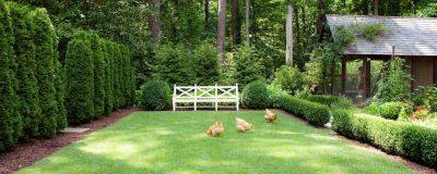 The Ultimate Guide To Southern Lawn Care - southernliving.com - France