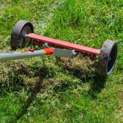 Verticutting the Lawn: How and When? - gardencentreguide.co.uk