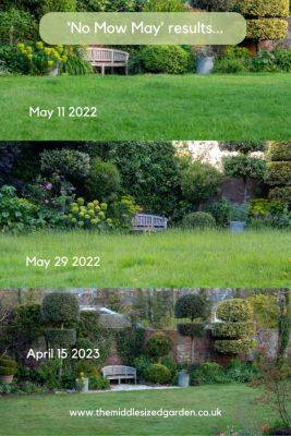 Should you do No Mow May? The pros and cons… - themiddlesizedgarden.co.uk