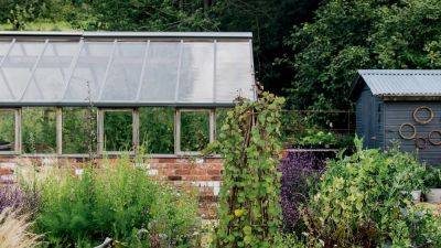 The dos and don'ts of planting a vegetable garden | House & Garden - houseandgarden.co.uk - Britain