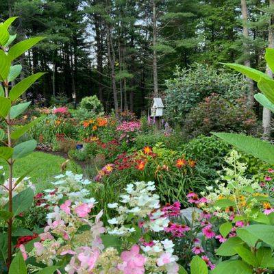 Best of the GPOD: Before and After - finegardening.com - Britain - Washington - state Washington - state Oregon - county Lake