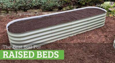 The Best Soil for a Raised Garden Bed - savvygardening.com