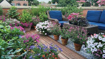 Tips for Growing a Rooftop Garden - gardengatemagazine.com - city Chicago - state Illinois