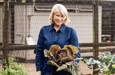 Martha Stewart Grows Vegetables On Raised Beds—Here's Why - thespruce.com