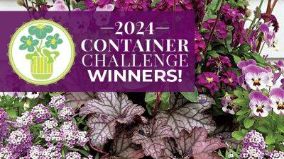 2024 Container Garden Challenge Winners! - gardengatemagazine.com - county Garden