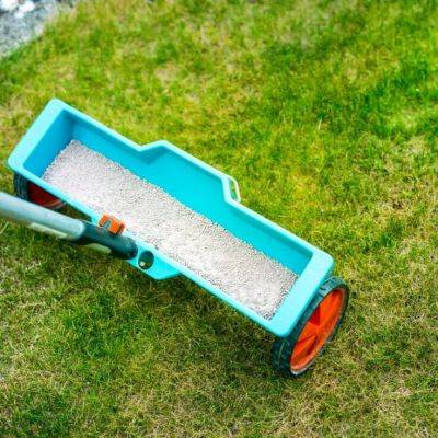 Organic Fertiliser for Your Lawn: How and When to Use It? - gardencentreguide.co.uk