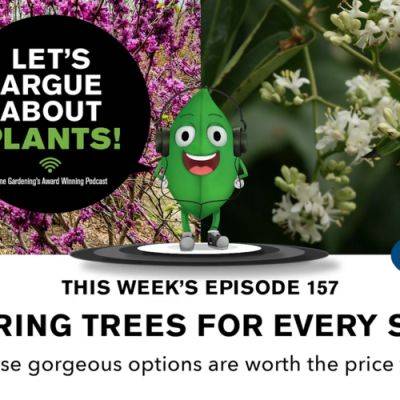 Episode 157: Flowering trees for every season - finegardening.com - Georgia - China - Japan - county Garden
