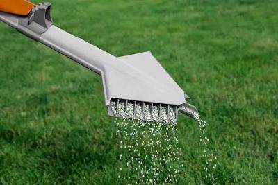 5 Fertilizing Mistakes You Might Be Making on Your Lawn, an Expert Says - thespruce.com