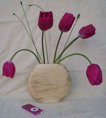 In a Vase on Monday: Pretty (Pink) Pods - ramblinginthegarden.wordpress.com