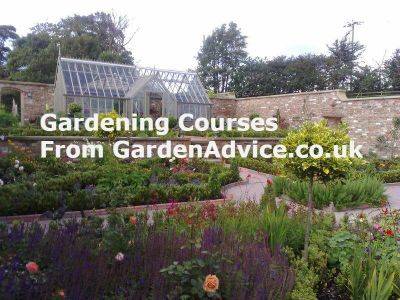 One day gardening course for beginners - gardenadvice.co.uk - Britain