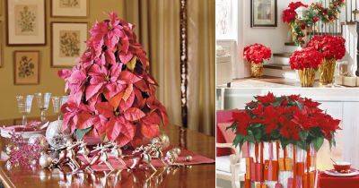 16 Attractive Ideas to Decorate your Home with Poinsettias - balconygardenweb.com