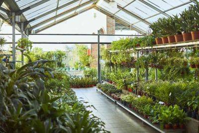 6 Reasons Local Garden Centers Are the Best Place to Buy Plants - thespruce.com