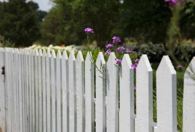 Choosing high-quality timber for fencing: a practical guide - growingfamily.co.uk