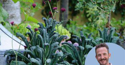 Is growing veg among ornamentals pretty or impractical? - gardenersworld.com - county Garden