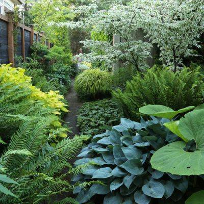 Touring a Serene and Immersive Garden Oasis - finegardening.com