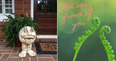 100 Best Plant Puns and Plant Jokes Around the Internet - balconygardenweb.com