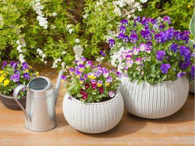 Mother's Day: Gift ideas for gardeners - theprovince.com - Washington