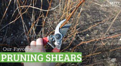 The Best Pruning Shears of 2024: What We Own and Love - savvygardening.com