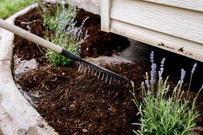 How to Prevent Mulch from Washing Away, According to a Pro - thespruce.com