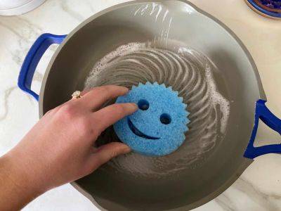 I Tried a Sponge vs. the Scrub Daddy, and There Was a Clear Winner - thespruce.com
