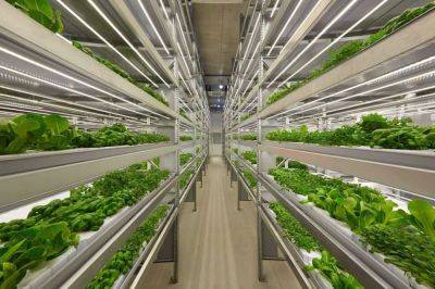 Four myths about vertical farming debunked by an expert - theunconventionalgardener.com - Usa
