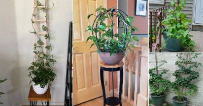 24 Trellis Ideas for Potted Plants - balconygardenweb.com