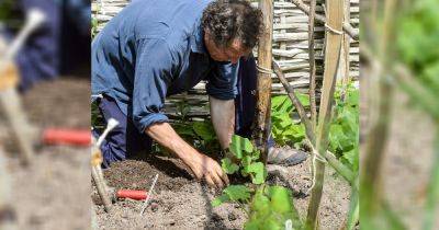 Monty's gardening jobs for June - gardenersworld.com - Italy
