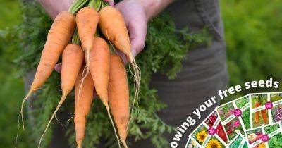 Free veg seeds 2024 - June - gardenersworld.com