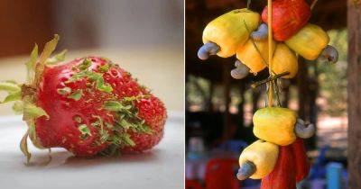 4 Surprising Fruits with Seeds on the Outside - balconygardenweb.com