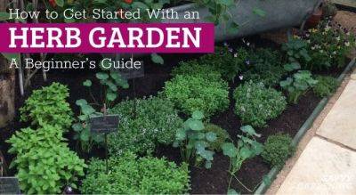 Herb Gardening for Beginners: How to Get Started - savvygardening.com