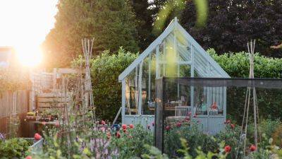How to start a kitchen garden: what to do in June | House & Garden - houseandgarden.co.uk - France