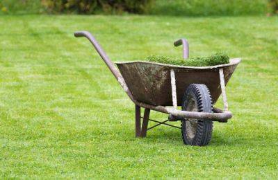 What Should You Do With Grass Clippings After Mowing Your Lawn? An Expert Weighs In - southernliving.com - state Virginia - county Garden