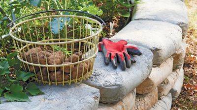 3 Easy Concrete Bag Projects - gardengatemagazine.com