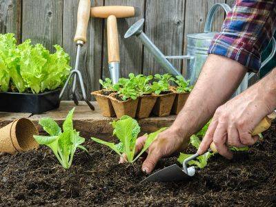 Give dad the gardening tools he needs this Father's Day - theprovince.com
